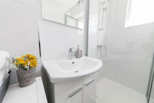 Apartman Bordura