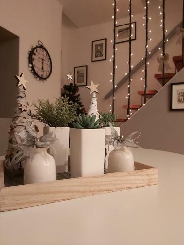 Cicibela Apartment