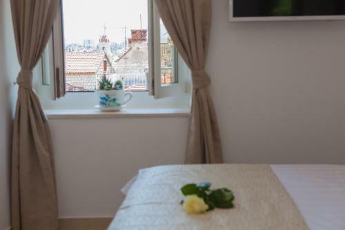 Summer Lounge Apartments