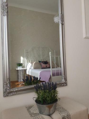 Celtis Apartment