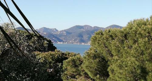 Apartamento La Villa Carat Cannes