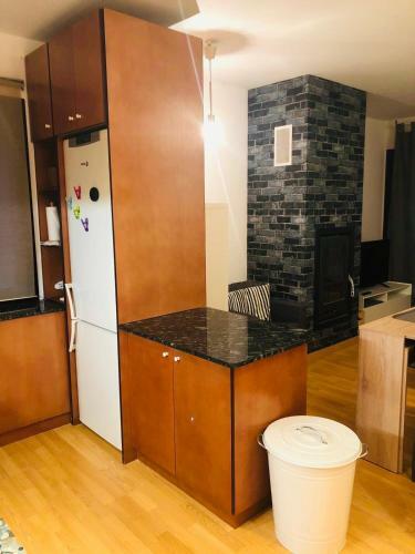 Apartamento Isard