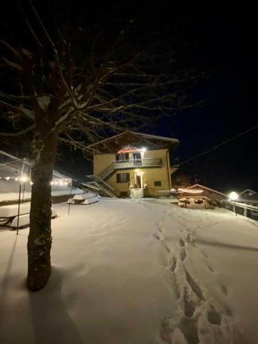 Apartamento La Tana Dello Zio Sam Apt Forest