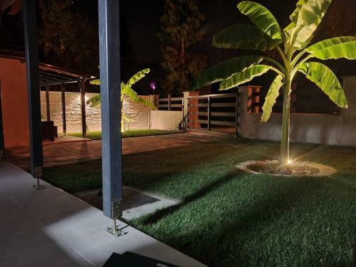 Sunny Garden Apartment