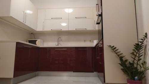 Apartman Nina