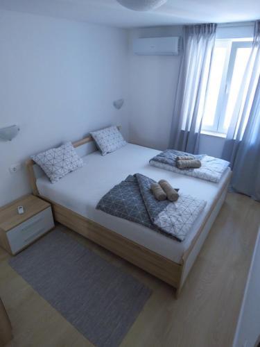 Apartment Ursi?