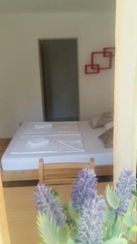 Hostal Guesthouse Maestral