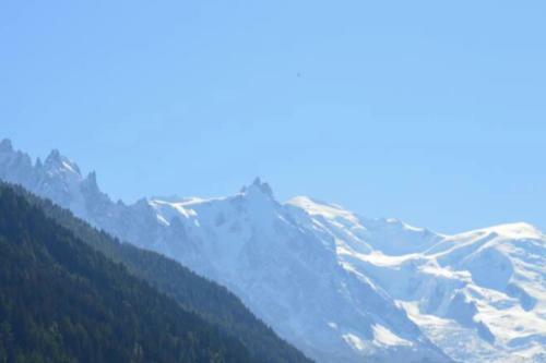 Apartment Near The Slopes Chamonix-mont-blanc