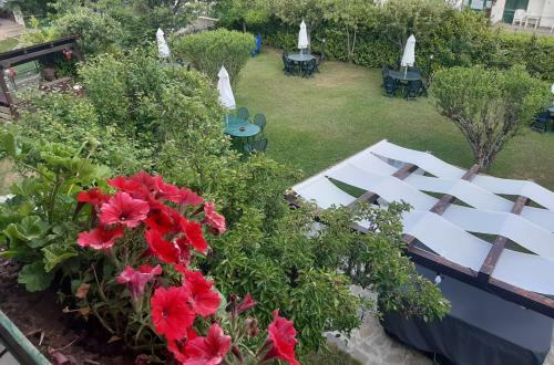 Lodge Villa Guido Apartment