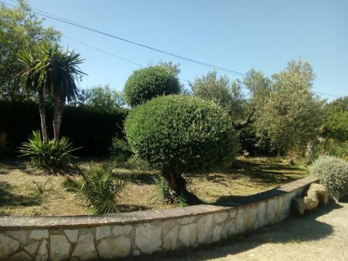 Casa Rural El Pinsapo