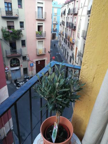 Apartamento Olivia III