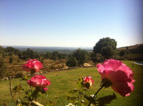 Casa Rural Los Robles