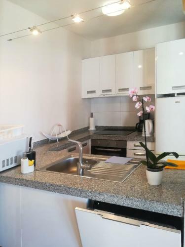 Apartment Viparaiso