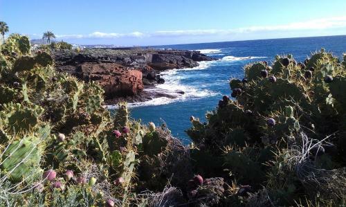 Apartamento Ocean View Studio