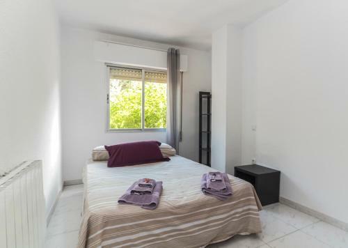 Apartamentos Complutum
