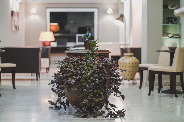 Apartamento Zeus Village