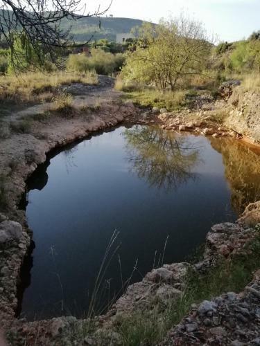 Gegant de Pedra Apartaments