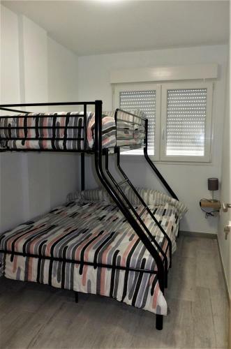 Gegant de Pedra Apartaments