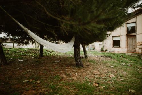 Casa Rural El Cocodrilo