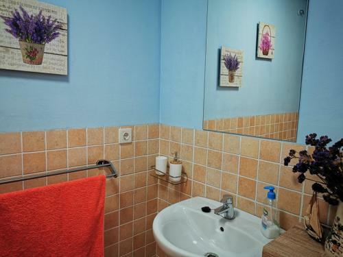 Cosy Duplex In Agaete With Wifi