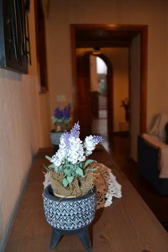 Casa �lamo Agaete