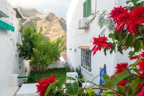 Agaete Villa Sea View