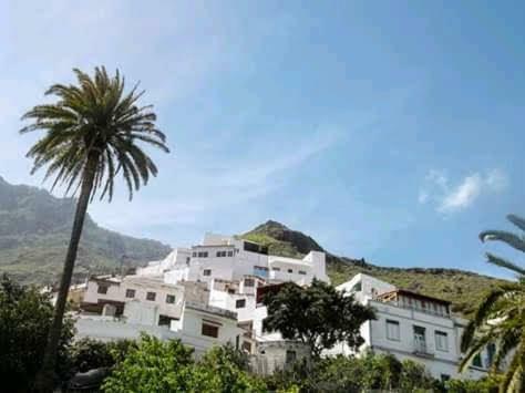Hostal Lagarto