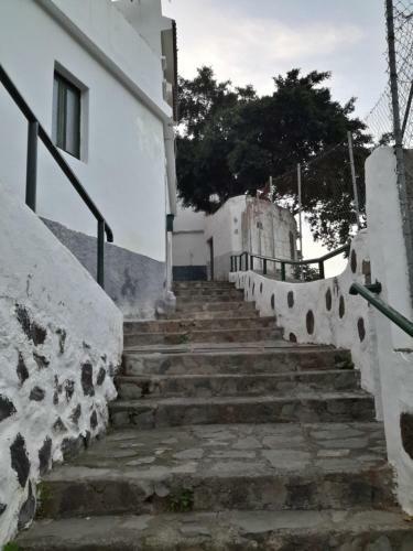 Hostal Lagarto