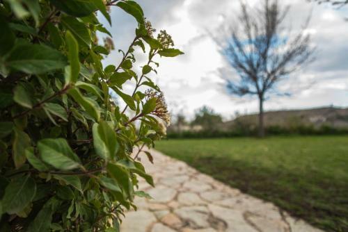 Lodge Caba�a De Campo
