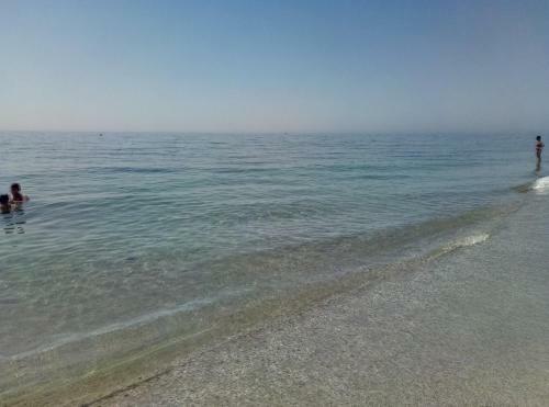 Apartamento Torre Bah�a