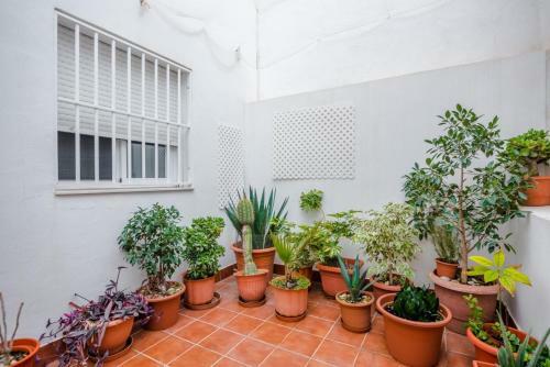 Apartamento Expoholidays- Centro Aguadulce