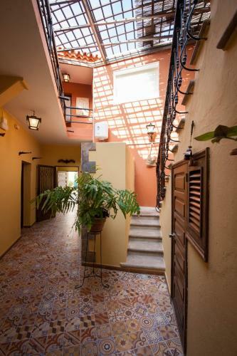 Agroturismo Casa Rural El Burro
