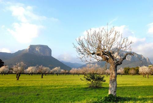 Hotel Alar� Natura Rural Suites