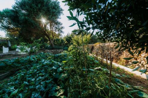 Agroturismo Rafal Rub�