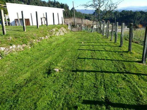 Lugar Del Pazo N�9-albeos