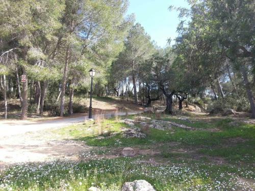 Villa Conchin Casa Junto A Parque Natural