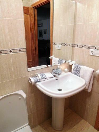 Apartamento Blue Coliseo