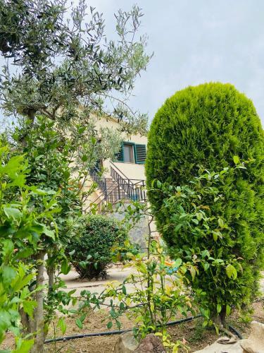 Apartamento L�era de Can Vi�as