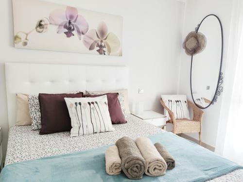 Janias Alcal� Apartment