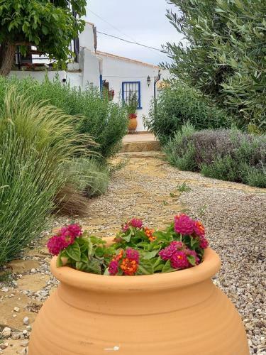 Apartamento Casa Moya