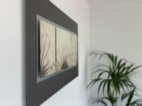 Apartamento Cofradia Penthouse