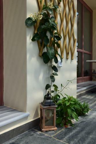 Rastoni Apartments