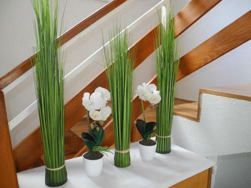 Hostal Privathaus Marija