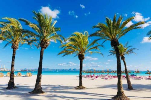 Apartamento Verano Eterno En Mallorca - Alcudia!