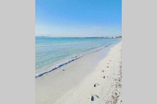 Apartamento Verano Eterno En Mallorca - Alcudia!