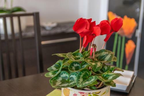 Apartamento Casa Pilar