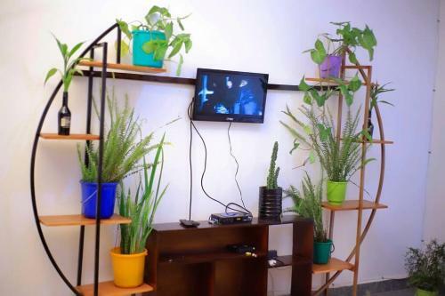 Apartamento Jireh Suites