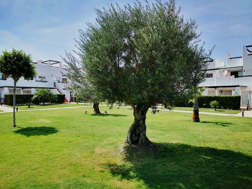 2 Bedroom Apartment Condado de Alhama