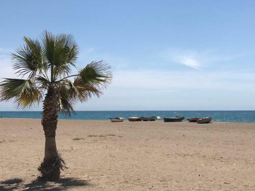 Apartamento Condado de Alhama
