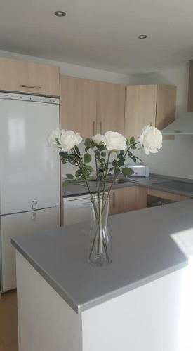 Apartamentos Jardin 566